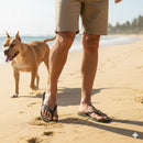 Chinelo Sandalia Havaianas Top Brasil Logo Masculino Feminino Original Com Bandeirinha